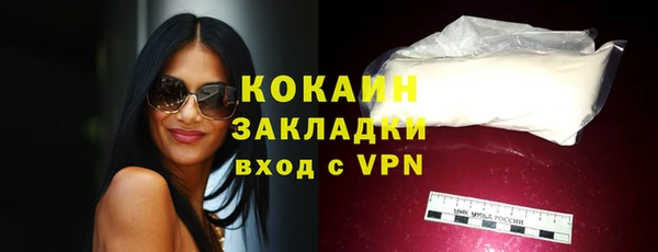 шишки Куйбышев