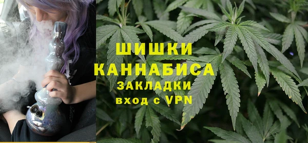 шишки Куйбышев