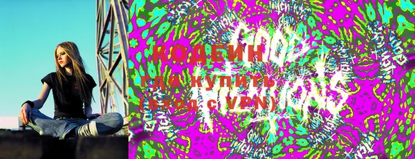 шишки Куйбышев