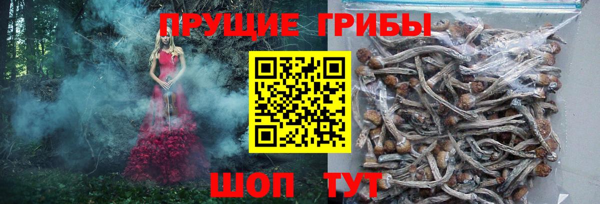 Галлюциногенные грибы Magic Shrooms  Сыктывкар 