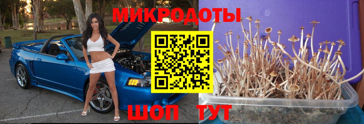 Галлюциногенные грибы GOLDEN TEACHER Сыктывкар