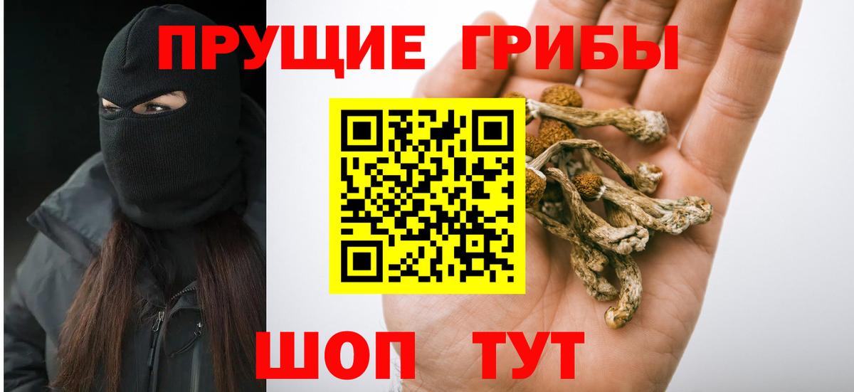 Галлюциногенные грибы GOLDEN TEACHER Сыктывкар